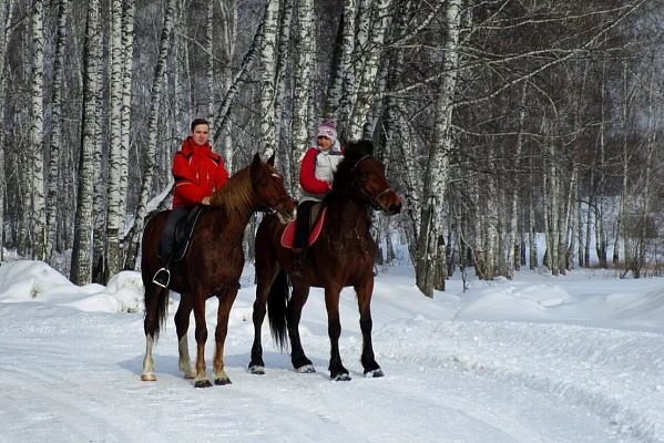 Конная прогулка для двоих в Кемерове. Подарочные сертификаты Ultra Подарки. Купить оригинальный подарок или подарочный сертификат на Конная прогулка для двоих в Кемерове. Сервис UltraPodarki.ru 8-800-505-9530. Катание на лошадях, Прогулка на лошади, Прогулка на лошадях для двоих, Конная прогулка для двоих, конный клуб, Конный клуб Ритм, конная прогулка, конная прогулка в Кемерове
