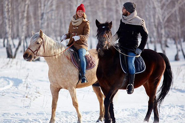 Конная прогулка для двоих в Кемерове. Подарочные сертификаты Ultra Подарки. Купить оригинальный подарок или подарочный сертификат на Конная прогулка для двоих в Кемерове. Сервис UltraPodarki.ru 8-800-505-9530. Катание на лошадях, Прогулка на лошади, Прогулка на лошадях для двоих, Конная прогулка для двоих, конный клуб, Конный клуб Ритм, конная прогулка, конная прогулка в Кемерове