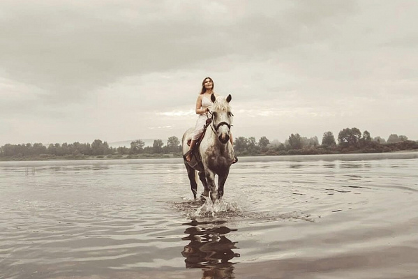 Верховая езда на лошадях в Кемерове. Подарочные сертификаты Ultra Подарки. Купить оригинальный подарок или подарочный сертификат на Верховая езда на лошадях в Кемерове. Сервис UltraPodarki.ru 8-800-505-9530. Катание на лошадях, Прогулка на лошади, Прогулка на лошадях для двоих, Верховая езда на лошадях, конный клуб, Конный клуб Ритм, конная прогулка, конная прогулка в Кемерове