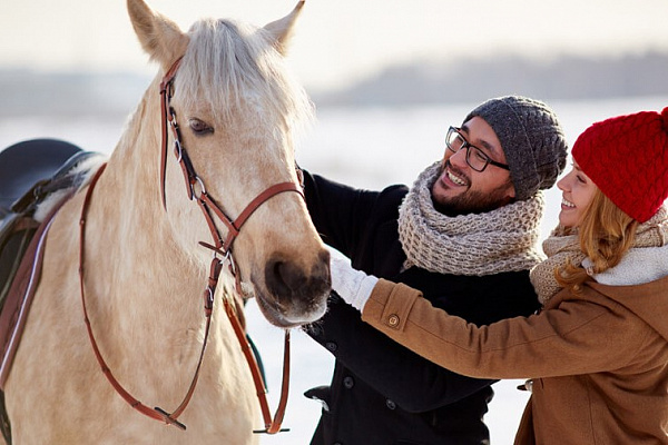 Конная прогулка для двоих в Кемерове. Подарочные сертификаты Ultra Подарки. Купить оригинальный подарок или подарочный сертификат на Конная прогулка для двоих в Кемерове. Сервис UltraPodarki.ru 8-800-505-9530. Катание на лошадях, Прогулка на лошади, Прогулка на лошадях для двоих, Конная прогулка для двоих, конный клуб, Конный клуб Ритм, конная прогулка, конная прогулка в Кемерове