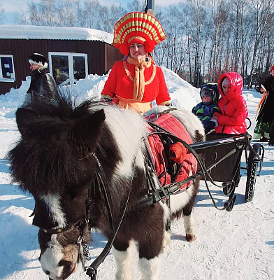 Конная прогулка на пони #в Кемерове#. Подарочные сертификаты Ultra Подарки. Купить оригинальный подарок или подарочный сертификат на Конная прогулка на пони #в Кемерове#. Сервис UltraPodarki.ru 8-800-505-9530. Катание на лошадях, Прогулка на лошади, Прогулка на лошадях для двоих, Конная прогулка на пони, конный клуб, конная прогулка, конная прогулка #в Кемерове#