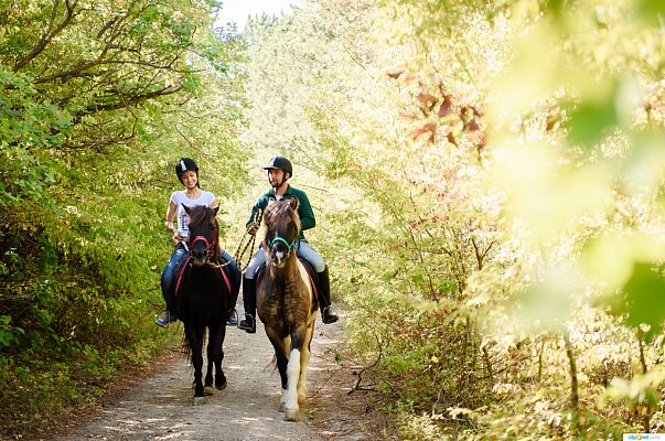 Конная прогулка для двоих #в Кемерове#. Подарочные сертификаты Ultra Подарки. Купить оригинальный подарок или подарочный сертификат на Конная прогулка для двоих #в Кемерове#. Сервис UltraPodarki.ru 8-800-505-9530. Катание на лошадях, Прогулка на лошади, Прогулка на лошадях для двоих, Конная прогулка для двоих, конный клуб, конная прогулка, конная прогулка #в Кемерове#