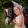 Конная прогулка на пони #в Кемерове#. Подарочные сертификаты Ultra Подарки. Купить оригинальный подарок или подарочный сертификат на Конная прогулка на пони #в Кемерове#. Сервис UltraPodarki.ru 8-800-505-9530. Катание на лошадях, Прогулка на лошади, Прогулка на лошадях для двоих, Конная прогулка на пони, конный клуб, конная прогулка, конная прогулка #в Кемерове#
