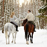 Конная прогулка для двоих #в Кемерове#. Подарочные сертификаты Ultra Подарки. Купить оригинальный подарок или подарочный сертификат на Конная прогулка для двоих #в Кемерове#. Сервис UltraPodarki.ru 8-800-505-9530. Катание на лошадях, Прогулка на лошади, Прогулка на лошадях для двоих, Конная прогулка для двоих, конный клуб, конная прогулка, конная прогулка #в Кемерове#