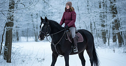 Верховая езда на лошадях