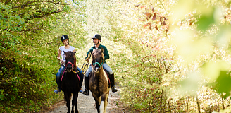 Конная прогулка для двоих