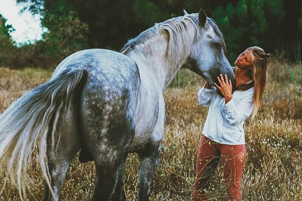 Верховая езда на лошадях в Кемерове. Подарочные сертификаты Ultra Подарки. Купить оригинальный подарок или подарочный сертификат на Верховая езда на лошадях в Кемерове. Сервис UltraPodarki.ru 8-800-505-9530. Катание на лошадях, Прогулка на лошади, Прогулка на лошадях для двоих, Верховая езда на лошадях, конный клуб, Конный клуб Ритм, конная прогулка, конная прогулка в Кемерове