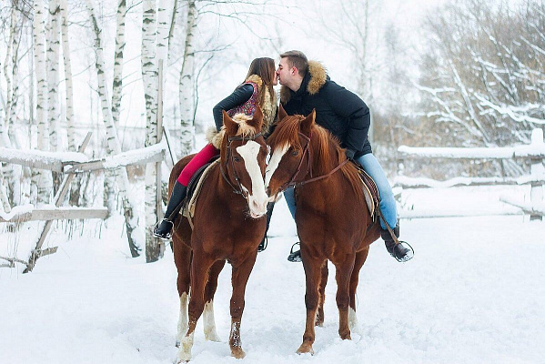 Конная прогулка для двоих в Кемерове. Подарочные сертификаты Ultra Подарки. Купить оригинальный подарок или подарочный сертификат на Конная прогулка для двоих в Кемерове. Сервис UltraPodarki.ru 8-800-505-9530. Катание на лошадях, Прогулка на лошади, Прогулка на лошадях для двоих, Конная прогулка для двоих, конный клуб, Конный клуб Ритм, конная прогулка, конная прогулка в Кемерове