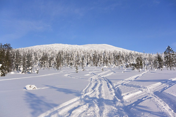 Катание на снегоходах в Кемерове в подарок. Сервис Ultra Подарки
. Подарочный сертификат на катание на снегоходах в Кемерове с друзьями. Закажите прокат снегоходов в подарок для мужчины по привлекательным ценам. Живописные маршруты для езды на снегоходах это отличная возможность активного отдыха. Сервис UltraPodarki.ru 8 800 505 95 30. катание на снегоходах, подарочный сертификат на катание на снегоходе, прокат снегоходов, прокат снегоходов Кемерово, катание на снегоходах Кемерово, езда на снегоходе