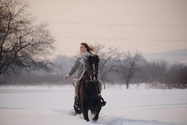 Верховая езда на лошадях в Кемерове. Подарочные сертификаты Ultra Подарки. Купить оригинальный подарок или подарочный сертификат на Верховая езда на лошадях в Кемерове. Сервис UltraPodarki.ru 8-800-505-9530. Катание на лошадях, Прогулка на лошади, Прогулка на лошадях для двоих, Верховая езда на лошадях, конный клуб, Конный клуб Ритм, конная прогулка, конная прогулка в Кемерове