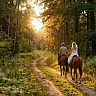 Конная прогулка для двоих #в Кемерове#. Подарочные сертификаты Ultra Подарки. Купить оригинальный подарок или подарочный сертификат на Конная прогулка для двоих #в Кемерове#. Сервис UltraPodarki.ru 8-800-505-9530. Катание на лошадях, Прогулка на лошади, Прогулка на лошадях для двоих, Конная прогулка для двоих, конный клуб, конная прогулка, конная прогулка #в Кемерове#