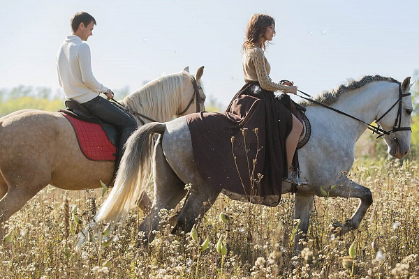 Конная прогулка для двоих в Кемерове. Подарочные сертификаты Ultra Подарки. Купить оригинальный подарок или подарочный сертификат на Конная прогулка для двоих в Кемерове. Сервис UltraPodarki.ru 8-800-505-9530. Катание на лошадях, Прогулка на лошади, Прогулка на лошадях для двоих, Конная прогулка для двоих, конный клуб, Конный клуб Ритм, конная прогулка, конная прогулка в Кемерове