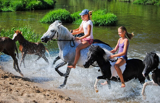 Конная прогулка на пони #в Кемерове#. Подарочные сертификаты Ultra Подарки. Купить оригинальный подарок или подарочный сертификат на Конная прогулка на пони #в Кемерове#. Сервис UltraPodarki.ru 8-800-505-9530. Катание на лошадях, Прогулка на лошади, Прогулка на лошадях для двоих, Конная прогулка на пони, конный клуб, конная прогулка, конная прогулка #в Кемерове#