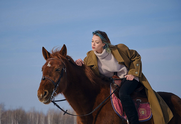 Верховая езда на лошадях в Кемерове. Подарочные сертификаты Ultra Подарки. Купить оригинальный подарок или подарочный сертификат на Верховая езда на лошадях в Кемерове. Сервис UltraPodarki.ru 8-800-505-9530. Катание на лошадях, Прогулка на лошади, Прогулка на лошадях для двоих, Верховая езда на лошадях, конный клуб, Конный клуб Ритм, конная прогулка, конная прогулка в Кемерове