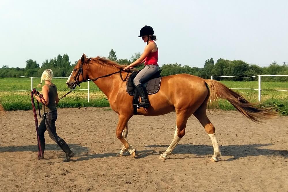 инструктор и ученик на лошади