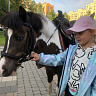 Конная прогулка на пони #в Кемерове#. Подарочные сертификаты Ultra Подарки. Купить оригинальный подарок или подарочный сертификат на Конная прогулка на пони #в Кемерове#. Сервис UltraPodarki.ru 8-800-505-9530. Катание на лошадях, Прогулка на лошади, Прогулка на лошадях для двоих, Конная прогулка на пони, конный клуб, конная прогулка, конная прогулка #в Кемерове#